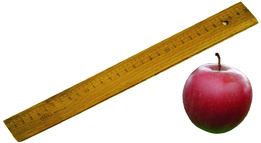 Kinky Discipline Ruler & Erotic Apple